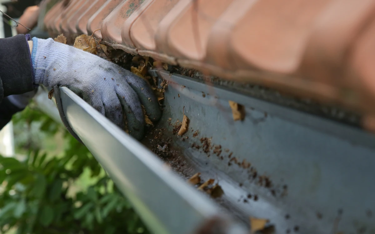 Person cleaning leaves and debris from a roof gutter using gloves