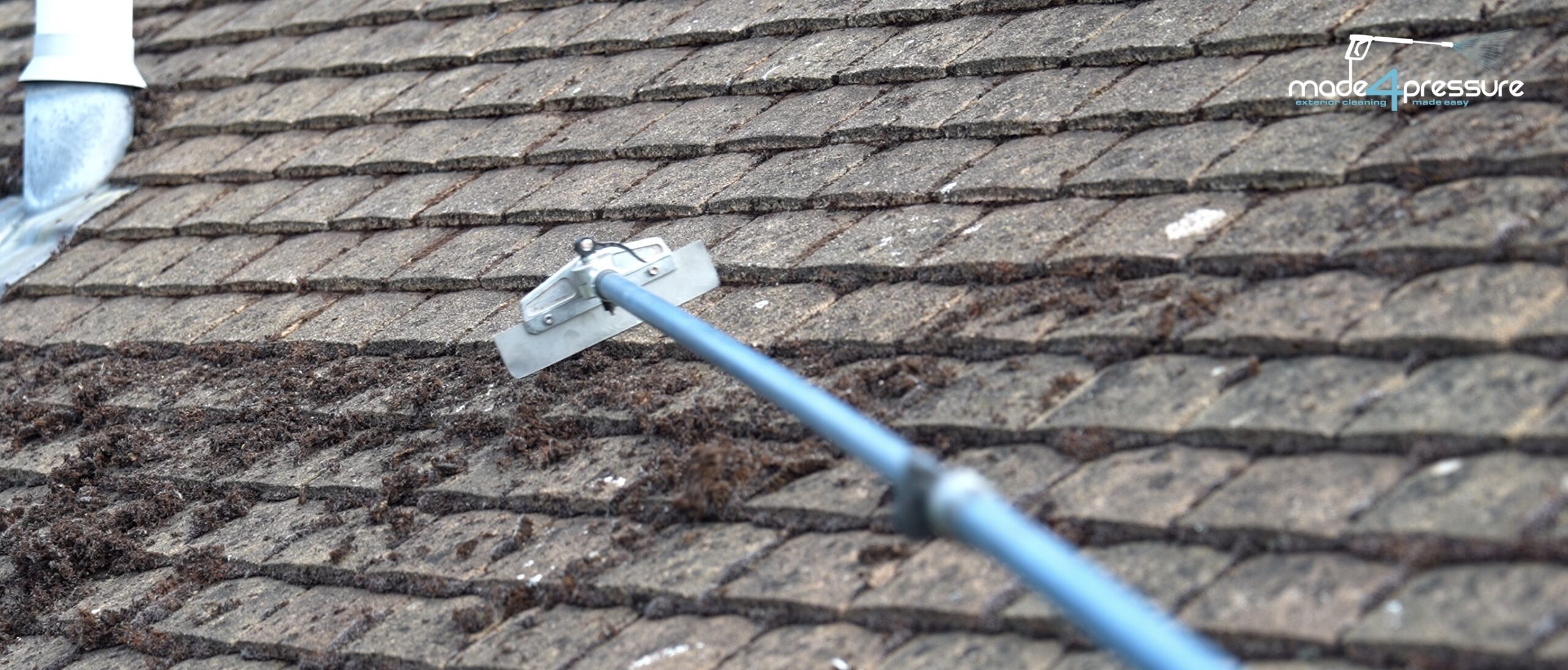 gutter cleaning