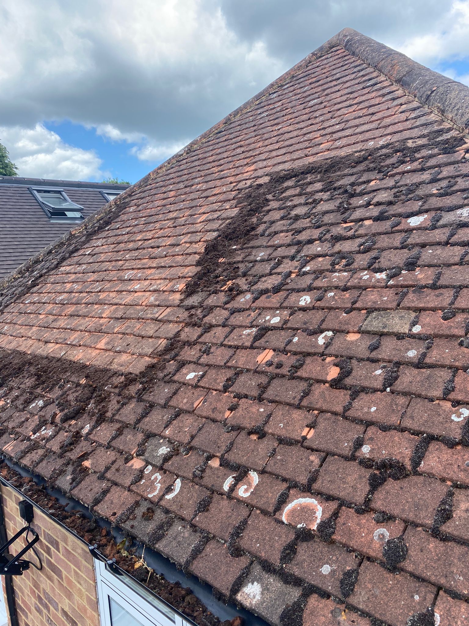 Moss removal - scrape and brush system